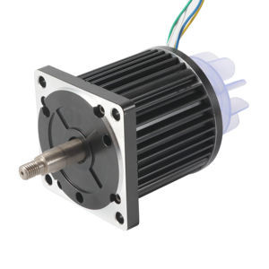 Haut moteur sans brosse de Bldc de puissance élevée du couple 110mm